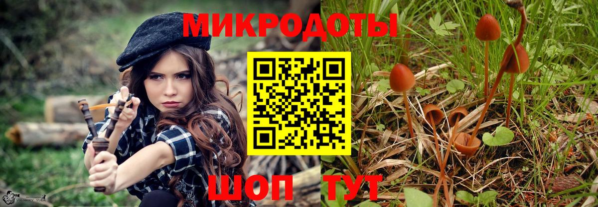 Белово  Псилоцибиновые грибы ЛСД  Вход с VPN  Галлюциногенные грибы Cubensis 